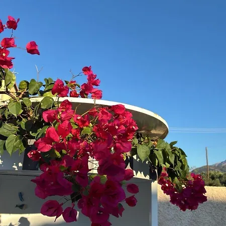 No.21house. α House In Rio,patras Tatil Evi *