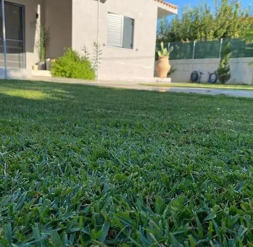 No.21house. α House In Rio,patras