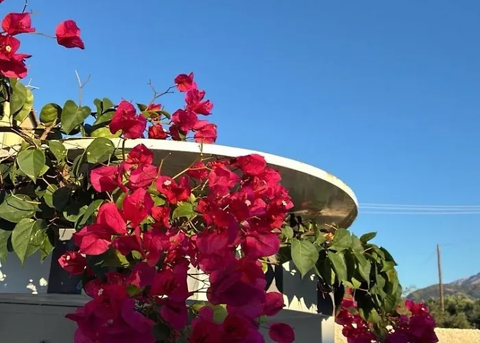 No.21house. α House In Rio,patras Дом отдыха *